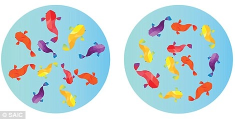 Dự án được công ty Pantone tài trợ, với mong muốn giúp người dân mong chờ đến mùa mưa hơn. Mùa mưa ở Hàn Quốc kéo dài khoảng 3 tuần. Thời gian này nhiều người ở nguyên trong nhà để tránh lụt lội.