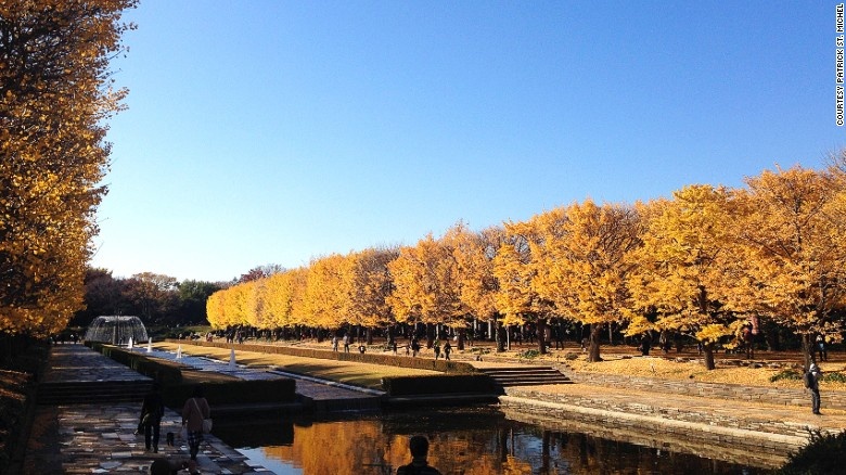 Công viên Showa Kinen: Nằm ở Tachikawa, cách trung tâm Tokyo 30 phút đi tàu, công viên Showa Kinen có những hồ nước xinh xắn, sân chơi và cảnh quan tuyệt đẹp. Du khách có thể dành cả ngày mới khám phá hết công viên.