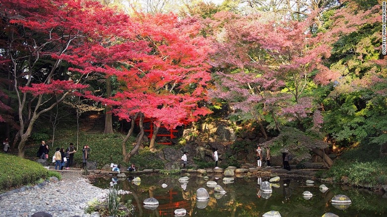 Vườn Koishikawa Korakuen: Nằm kế khu giải trí phức hợp Tokyo Dome City, khu vườn này trổ bung màu đỏ và vàng rực của cây thích vào mùa thu.