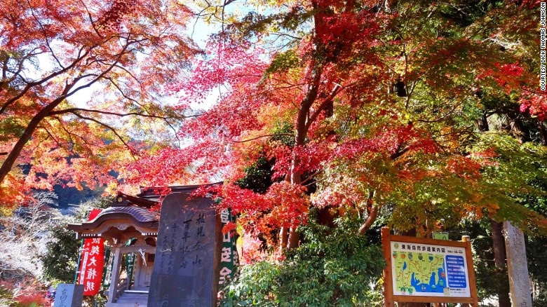 Mount Takao: Du khách mất 90 phút để leo lên đỉnh Mount Takao. Vào ngày đẹp trời, du khách có thể nhìn thấy đỉnh Phú Sỹ từ đỉnh núi. Một cách khác tiết kiệm thời gian hơn là đi cáp treo giống như Mount Mitake. Từ trung tâm Tokyo sẽ mất khoảng 50 phút lái xe đến Mount Takao. Người Tokyo thường chọn nơi đây để thư giãn cuối tuần, đặc biệt vào tháng 11.