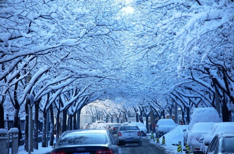 Mùa đông của Bắc Kinh rất lạnh, cảnh vật không còn tươi xanh như mùa xuân, mùa hạ hay lung linh như mùa thu. Dù vậy, nếu đặt chân tới đây, bạn sẽ vẫn tìm thấy cho mình những nét hấp dẫn rất riêng của mảnh đất này. Ảnh: Baike