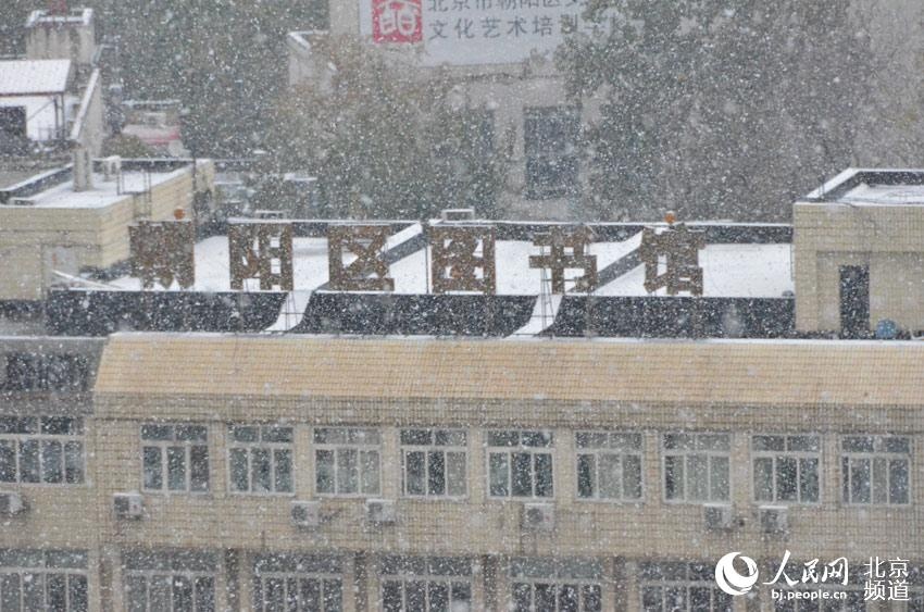 Tuyết rơi sớm báo hiệu mùa thu vàng của Bắc Kinh đã chính thức kết thúc. Người dân nơi đây sẽ phải trải qua mùa đông dài đầy gió, tuyết và rét buốt. Ảnh: People.cn