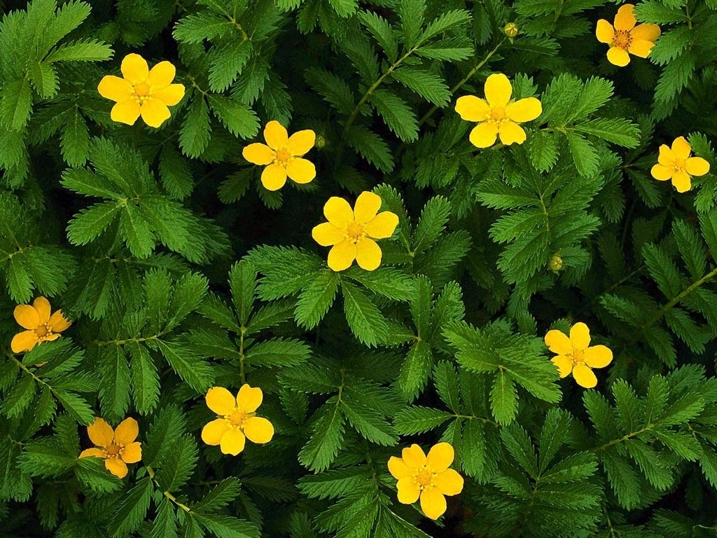 Van may ngay thu ba (10/11) hinh anh