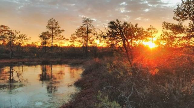 Phong cảnh thiên nhiên ở Estonia tràn ngập trên Instagram mà không cần hiệu ứng hình ảnh.