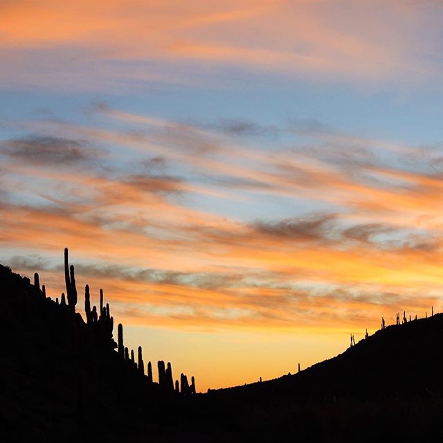 Hoàng hôn trùm lên thung lũng tràn ngập những cây xương rồng tại sa mạc phía bắc San Pedro de Atacama.