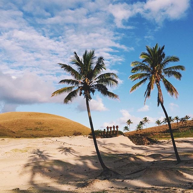 Những bức tượng Moai ở Rapa Nui.