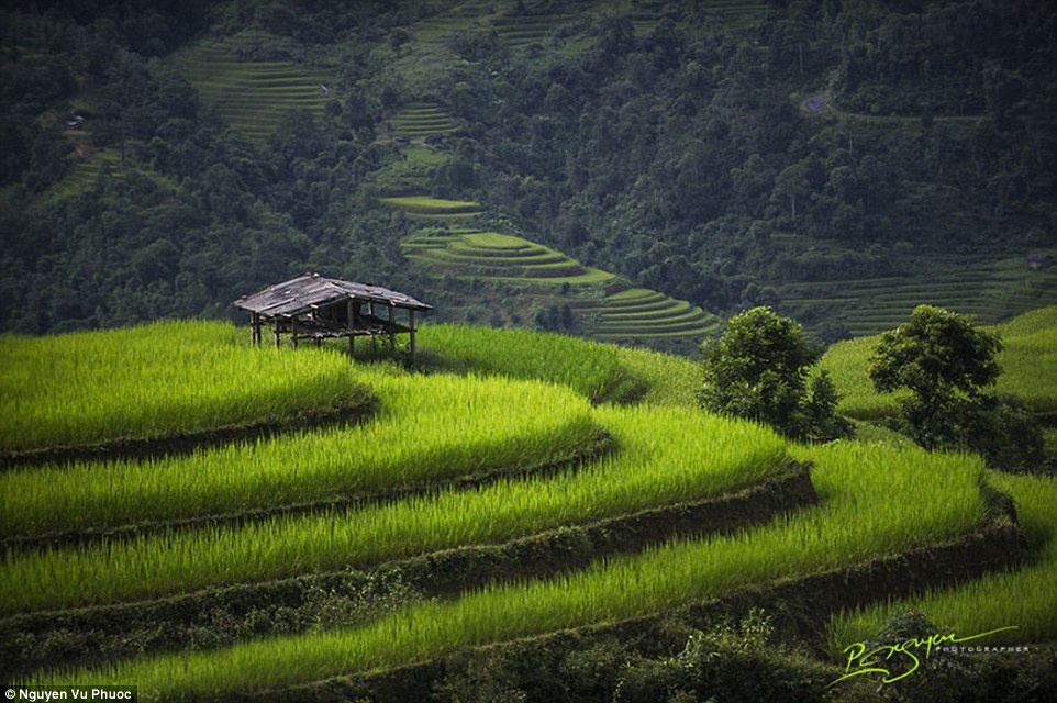 Bo anh cua nhiep anh gia Viet tren bao Anh hinh anh