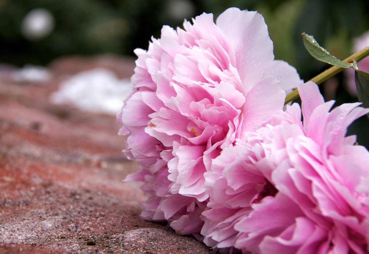 Van may ngay thu bay (21/11) hinh anh