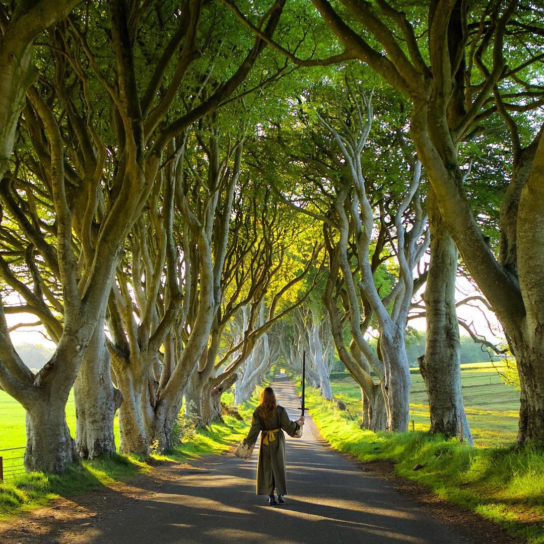 Addis kiếm tiền từ doanh thu bán hàng qua trang web, bán sách, cộng tác với các cơ quan và nhãn hàng về du lịch. Cô kiếm được khoảng 40% số lương ngân hàng trước kia, và hiện vẫn tăng lên.