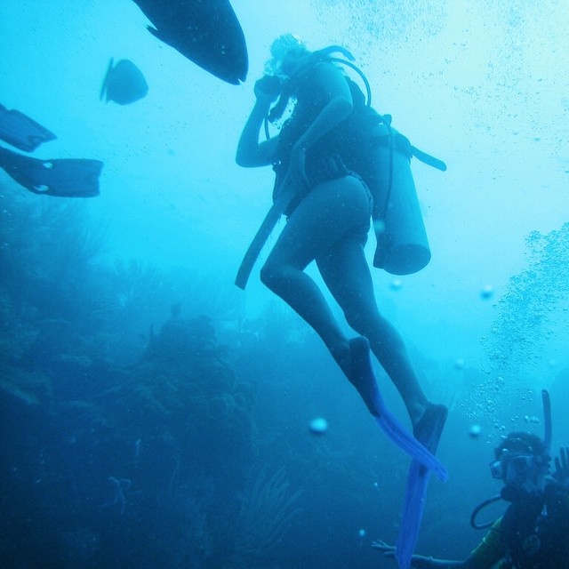 Nguyên tắc của Addis là chỉ quảng bá hoặc làm việc với những sản phẩm cô đã trải nghiệm và yêu thích, đồng thời làm việc với các nhãn hàng và cơ quan theo cách riêng để độc giả có thể học được qua trải nghiệm của bản thân cô.