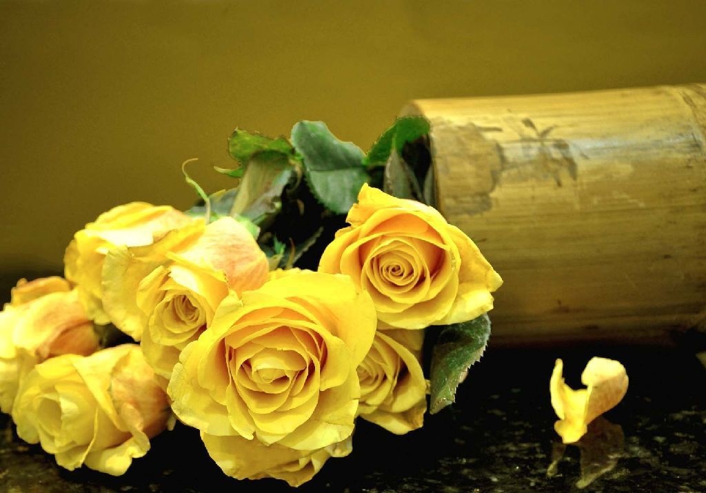 Van may ngay chu nhat (29/11) hinh anh