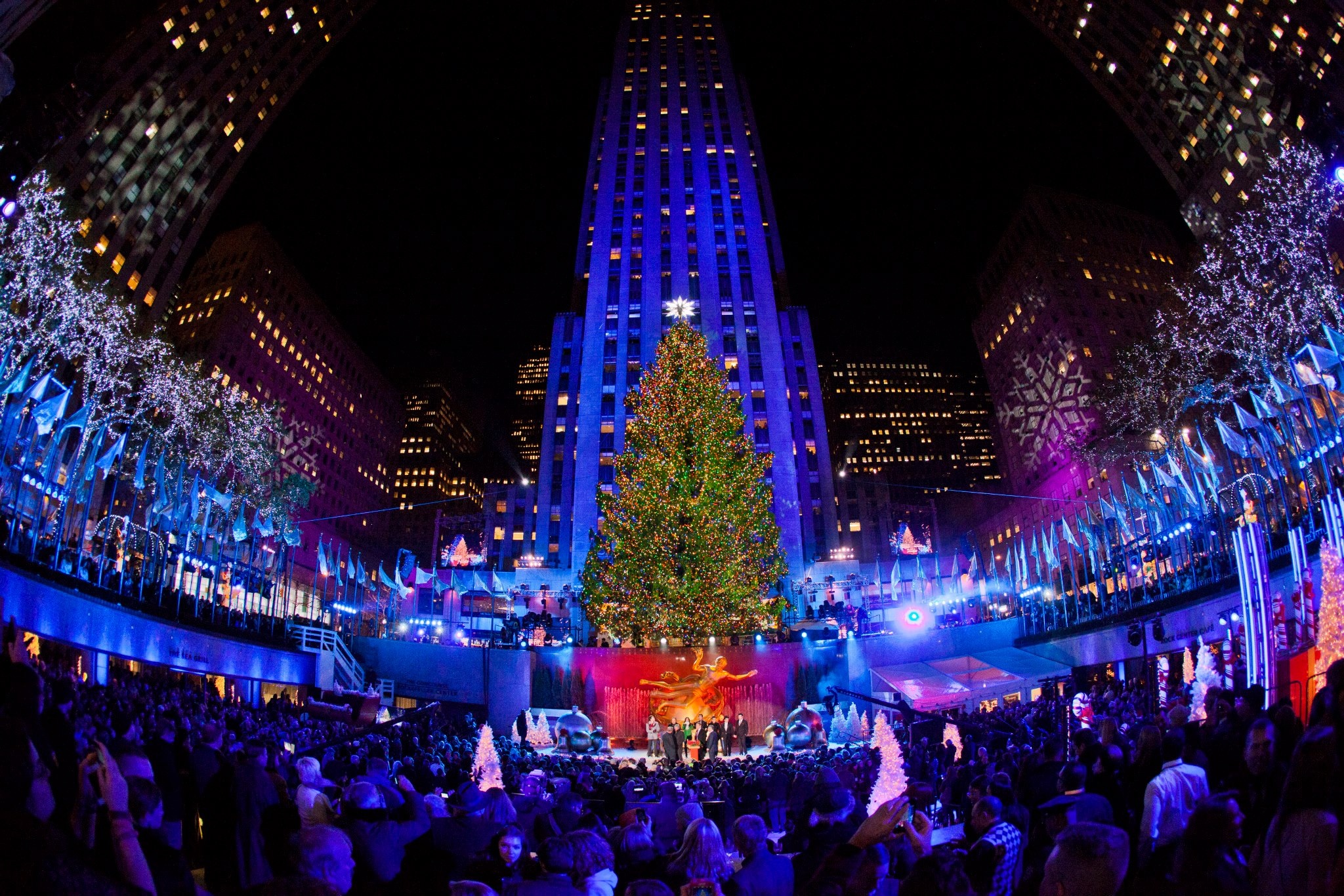 Du khách và người dân New York đổ xô về đây cùng chiêm ngưỡng cây thông Noel với hàng nghìn ánh đèn LED lung linh sắc màu.