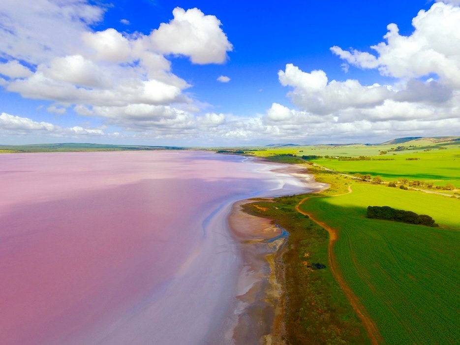 Hồ Hillier Bumbunga, Australia: Đây là một trong những hồ nước nổi tiếng và đặc biệt nhất thế giới, với nước màu hồng tự nhiên.