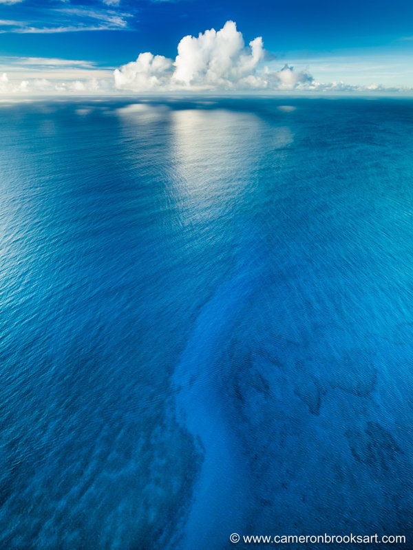 Bức ảnh mang tên Chasing a Cloud.