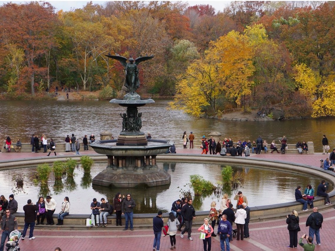 10. Công viên Trung tâm, Mỹ: Nơi đây có bốn mùa tươi đẹp mà bất cứ vị khách nào cũng muốn khám phá.