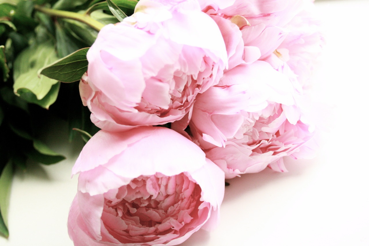 Van may ngay thu sau (11/12) hinh anh