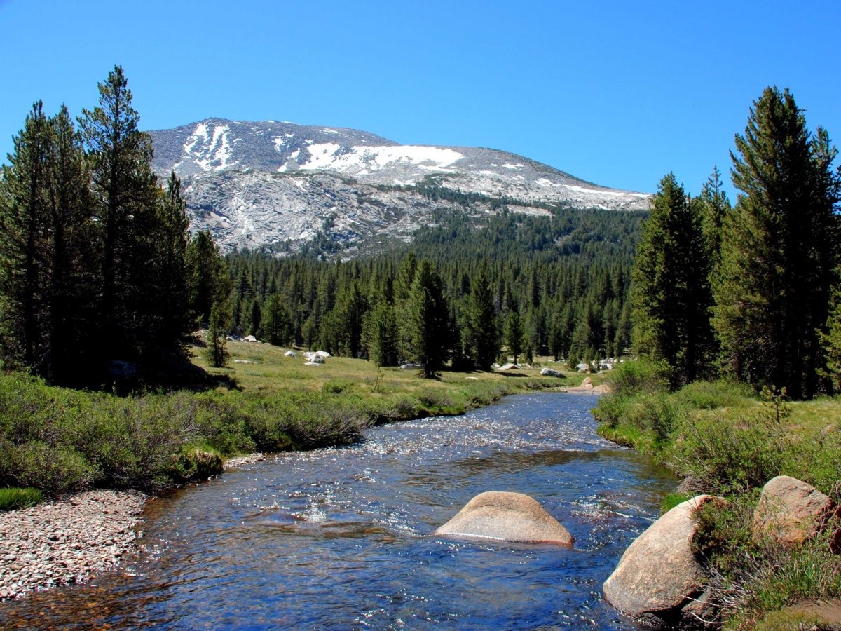 8. Vườn quốc gia Yosemite, Mỹ: Nơi đây là điểm đến lý tưởng cho những chuyến dã ngoại cùng bạn bè, người thân, tận hưởng thiên nhiên tươi đẹp.