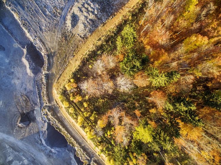 Núi lửa và cánh rừng vào thu ở Đức. Ảnh: Eberhard Ehmke.