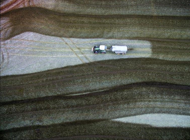 Làm việc nông trại ở Đức. Ảnh: Eberhard Ehmke. 