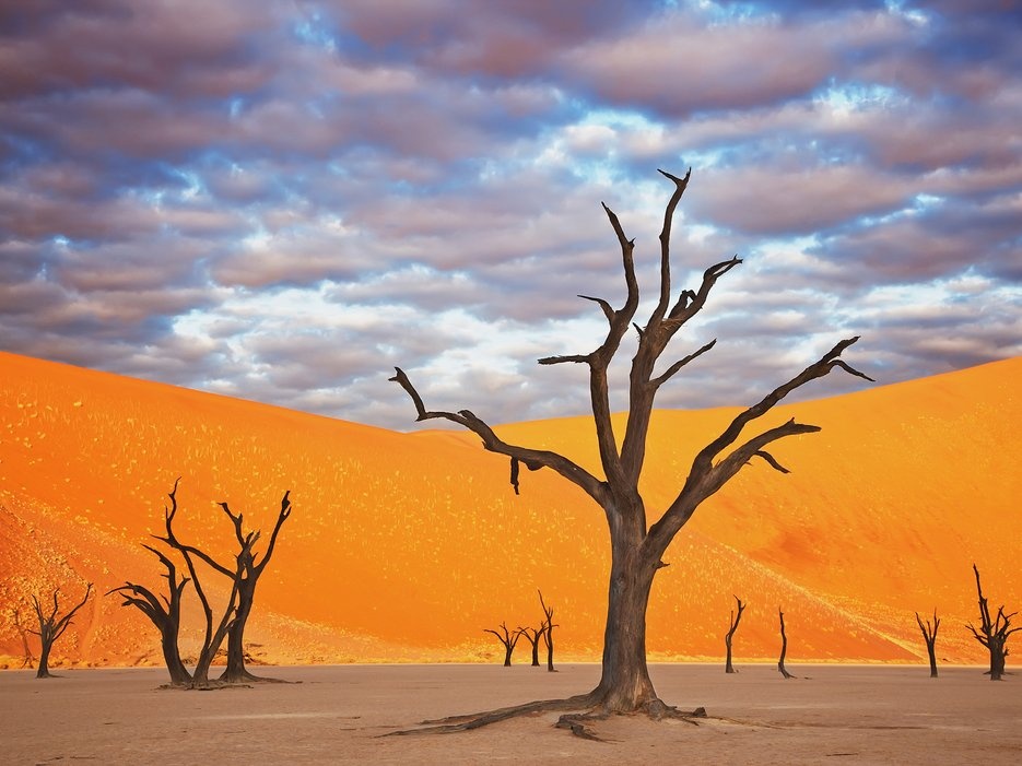 Công viên Namib Naukluft, Namibia: Những trảng cát đỏ rực và cây khô khẳng khiu khiến Namibia có cảnh tượng như trên sao Hỏa. Ảnh: Getty.