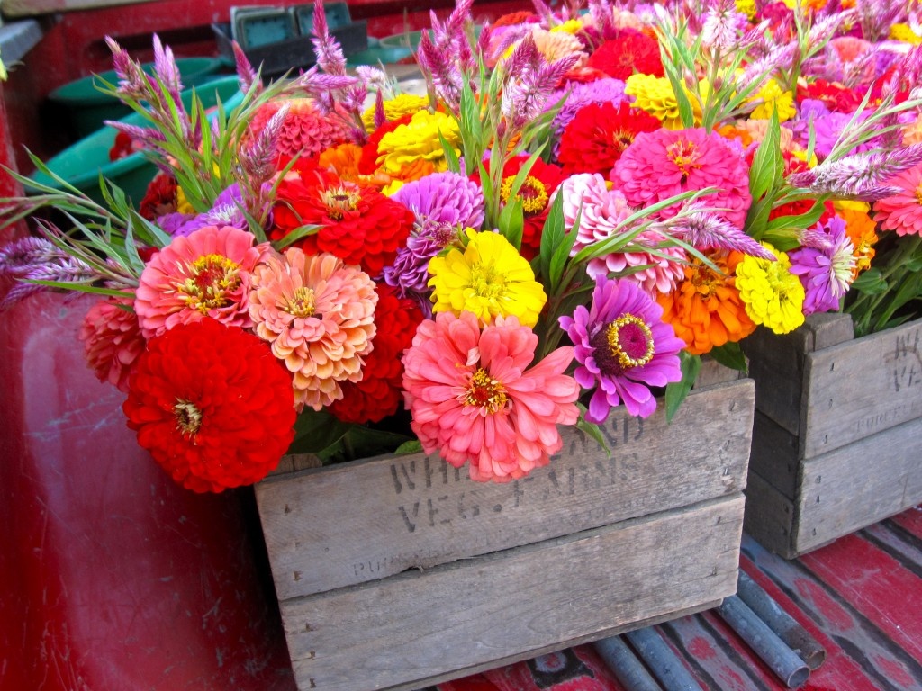 Van may ngay thu bay (2/1) hinh anh