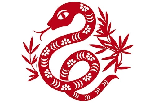 Nam 2016 day thuan loi cho nguoi tuoi Ty hinh anh