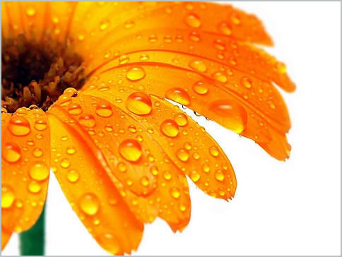 Van may ngay thu sau (15/1) hinh anh