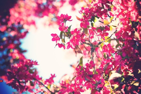 Van may ngay dau tuan (18/1) hinh anh