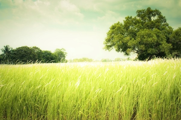 Van may ngay thu nam (21/1) hinh anh