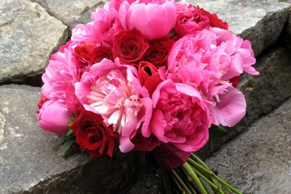 Van may ngay thu sau (22/1) hinh anh