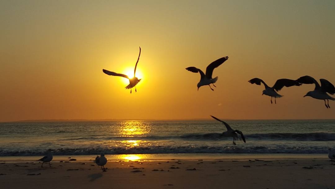 Canh hoang hon dep nhat tren Instagram hinh anh