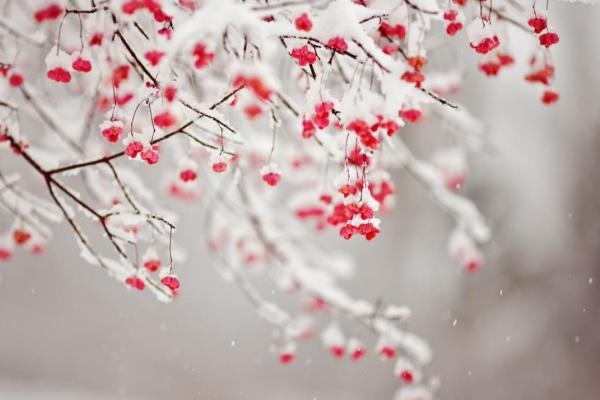 Van may ngay thu bay (23/1) hinh anh