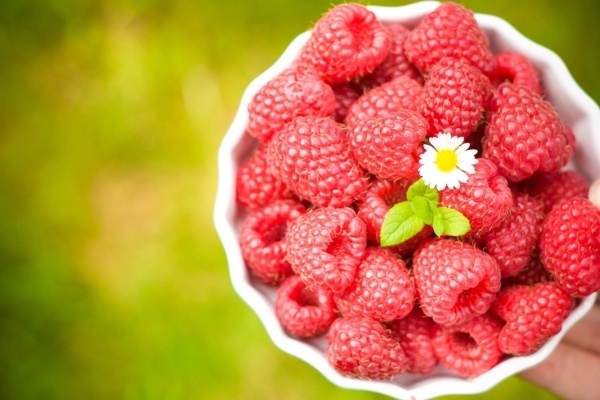 Van may ngay thu ba (26/1) hinh anh