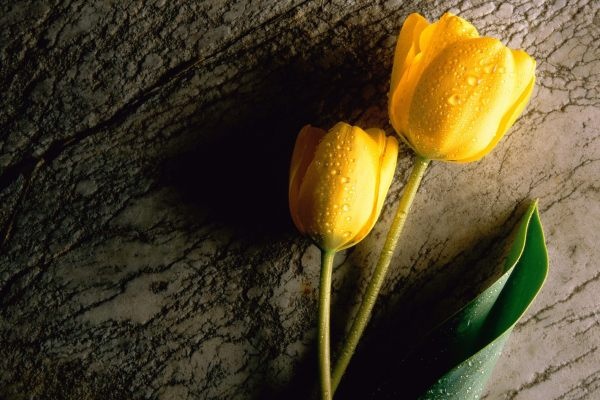 Van may ngay thu tu (27/1) hinh anh