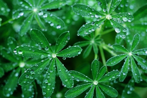 Van may ngay thu ba (2/2) hinh anh