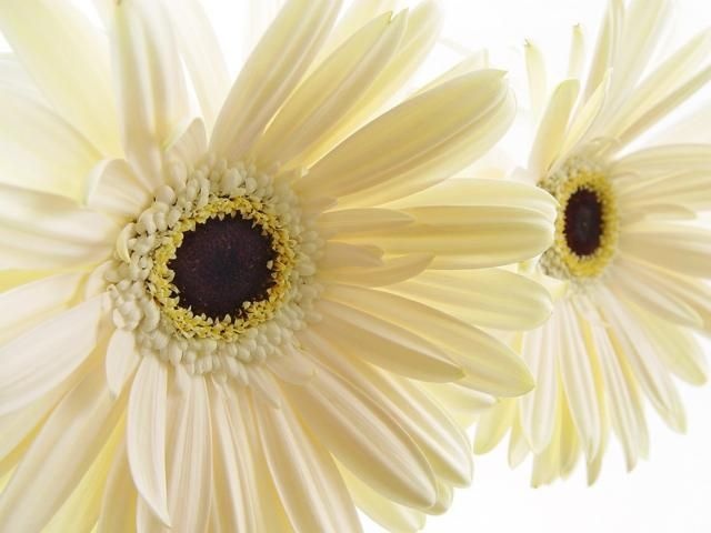 Van may ngay thu tu (3/2) hinh anh