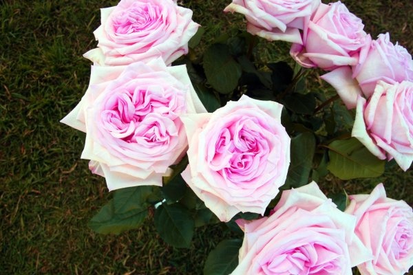 Van may ngay thu bay (13/2) hinh anh