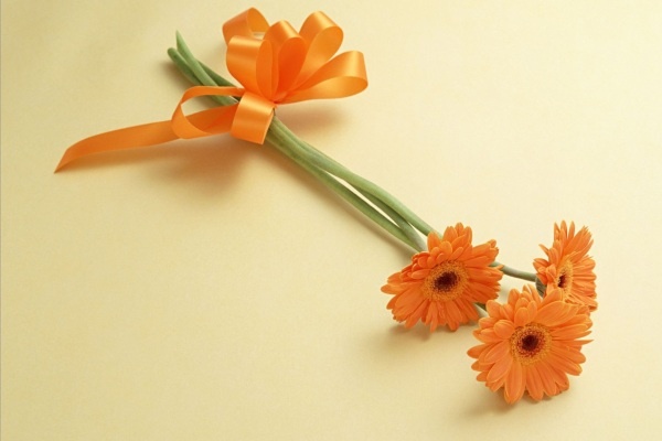 Van may ngay thu tu (17/2) hinh anh