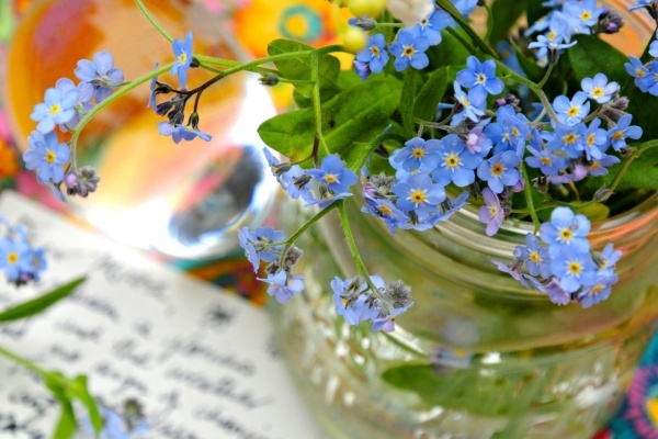 Van may ngay thu sau (19/2) hinh anh