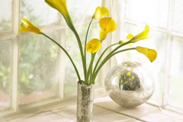 Van may ngay dau tuan (22/2) hinh anh