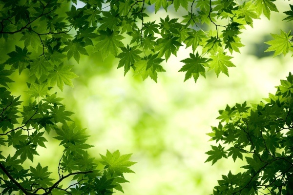 Van may ngay thu ba (23/2) hinh anh