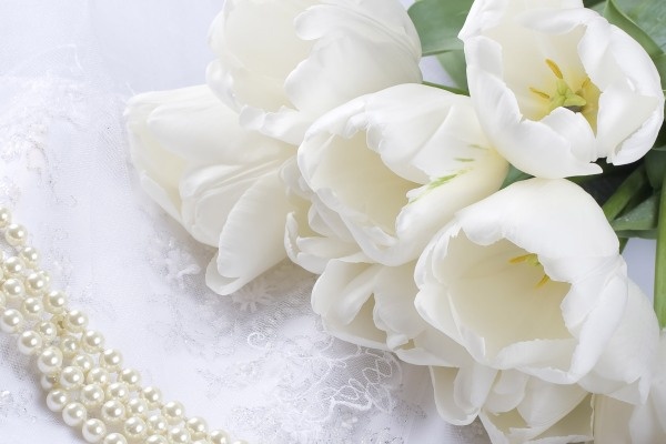 Van may ngay thu tu (24/2) hinh anh