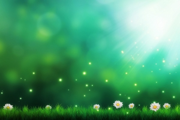 Van may ngay thu nam (25/2) hinh anh