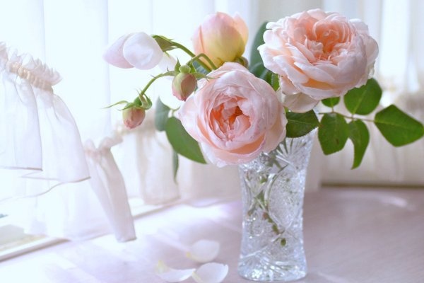 Van may ngay thu sau (26/2) hinh anh