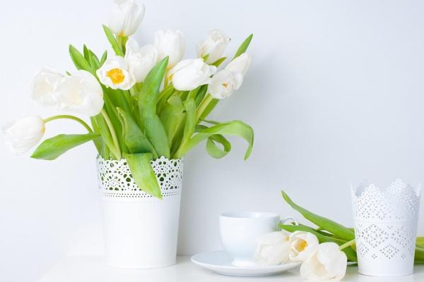 Van may ngay thu bay (27/2) hinh anh