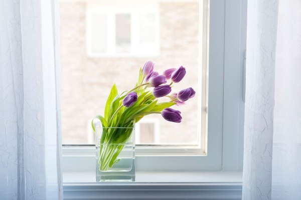 Van may ngay chu nhat (28/2) hinh anh