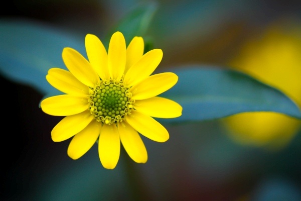 Van may ngay dau tuan (29/2) hinh anh