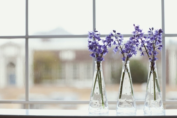 Van may thang 3 cua cac cung hoang dao hinh anh