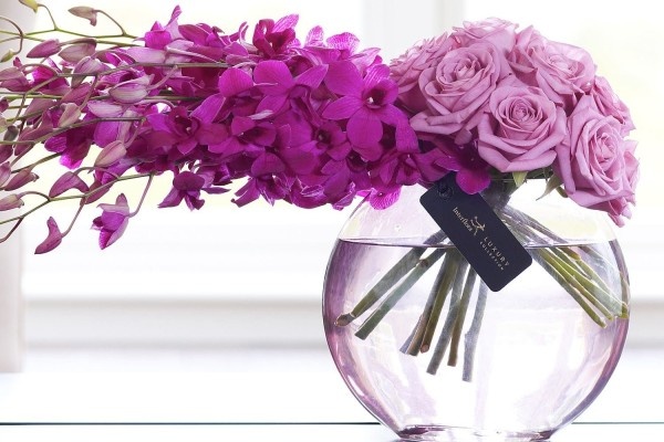 Van may ngay dau tuan (7/3) hinh anh