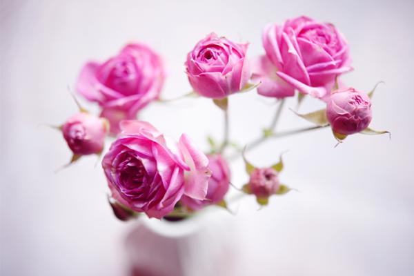 Doan van tuan moi (7-13/3) hinh anh